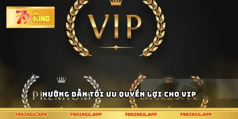 Hướng dẫn tối ưu quyền lợi cho VIP