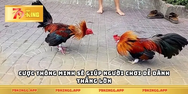 Cược thông minh sẽ giúp người chơi dễ dành thắng lớn