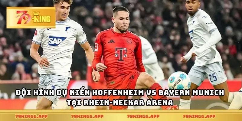 Đội hình dự kiến Hoffenheim vs Bayern Munich tại Rhein-Neckar Arena